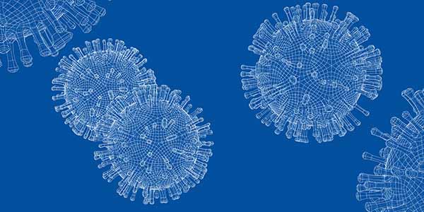 wire frame model of a virus