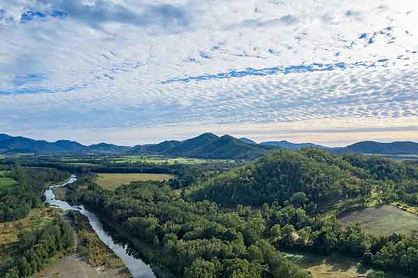 Creek ecosystem through forest country under striking clouds thumbnail