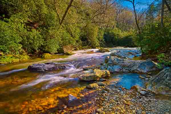 mills river in pisgah national forest north carolina thumbnail