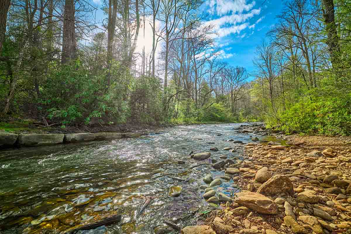 mills river