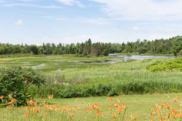 pretty countryside thumbnail