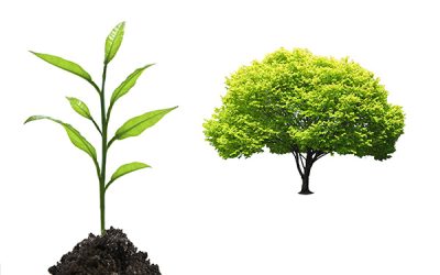 Club Contest Speech 2024