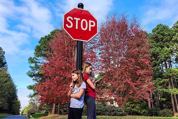 traffic stop sign thumbnail